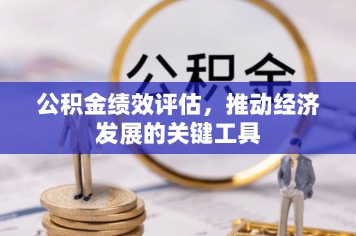 蓬安公积金绩效评估，推动经济发展的关键工具
