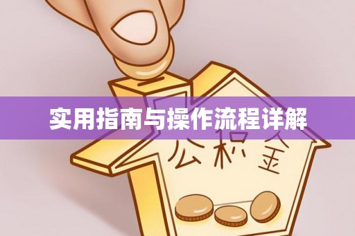 蓬安实用指南与操作流程详解